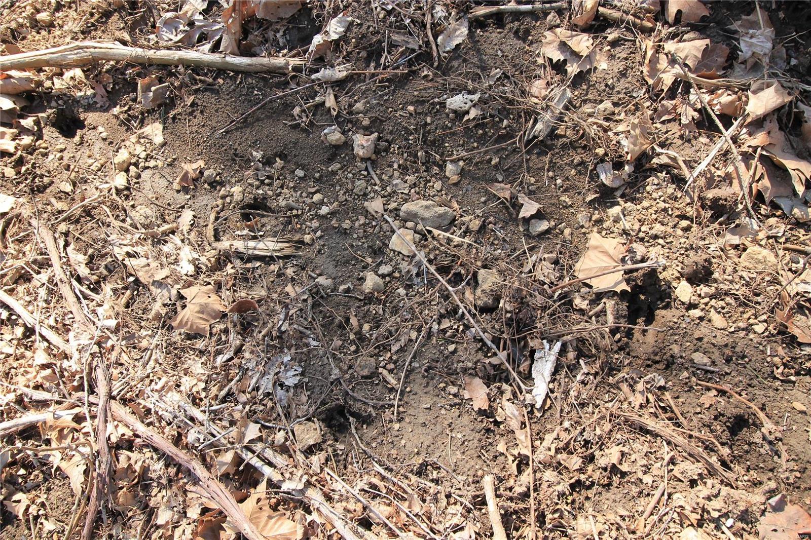 0 Madison Cr Fredericktown, MO 63645 - Photo 6 of 29