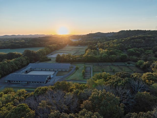 an aerial view of residential house with green space
