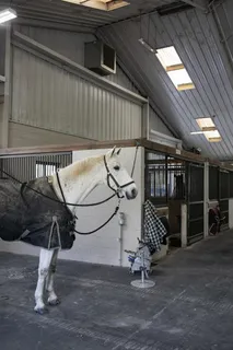 a view of street with trees in front of it