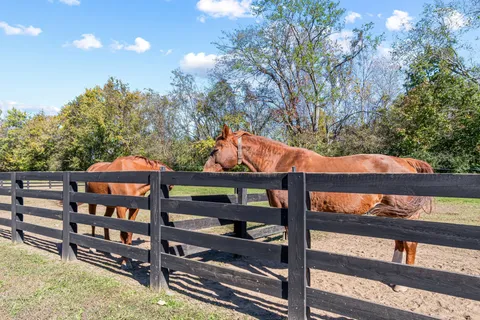 a view of outdoor space