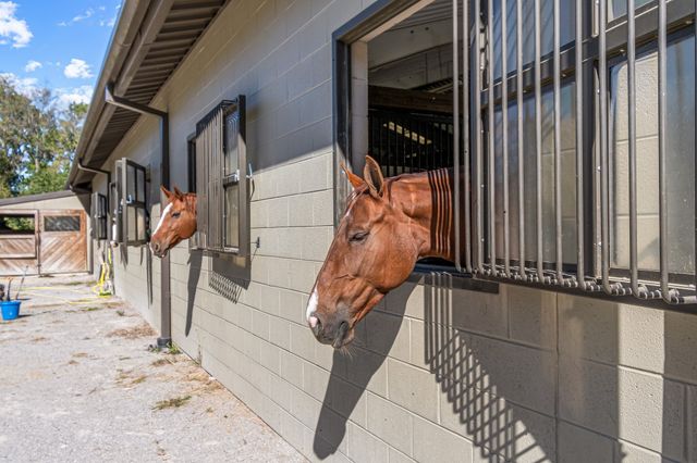 a view of a tennis court