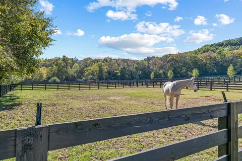 a view of swimming pool with a back yard