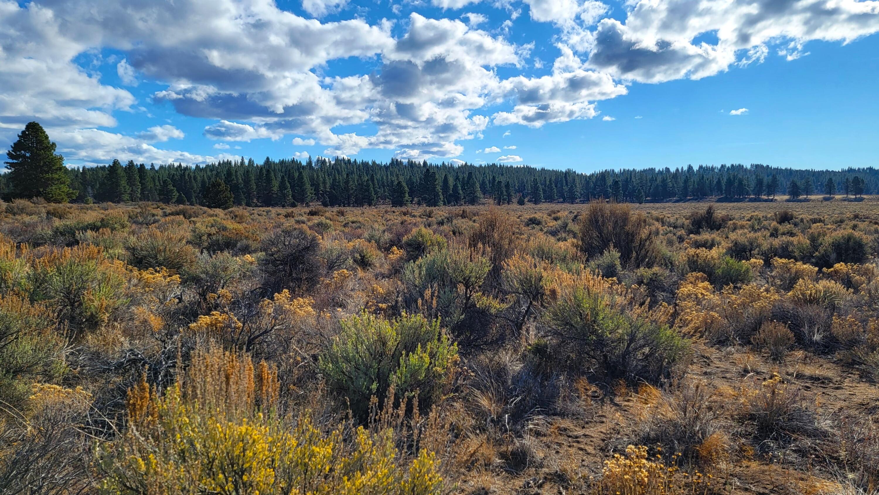 0 Tableland Road, Unit 1400 & 1500 Chiloquin, OR 97624 - Photo 1 of 16 South 2