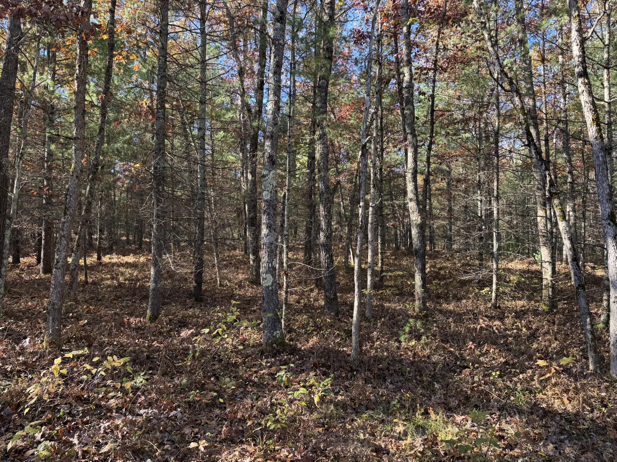 2 County Line Road Manistee, MI 49660 - Photo 5 of 5 IMG_1369