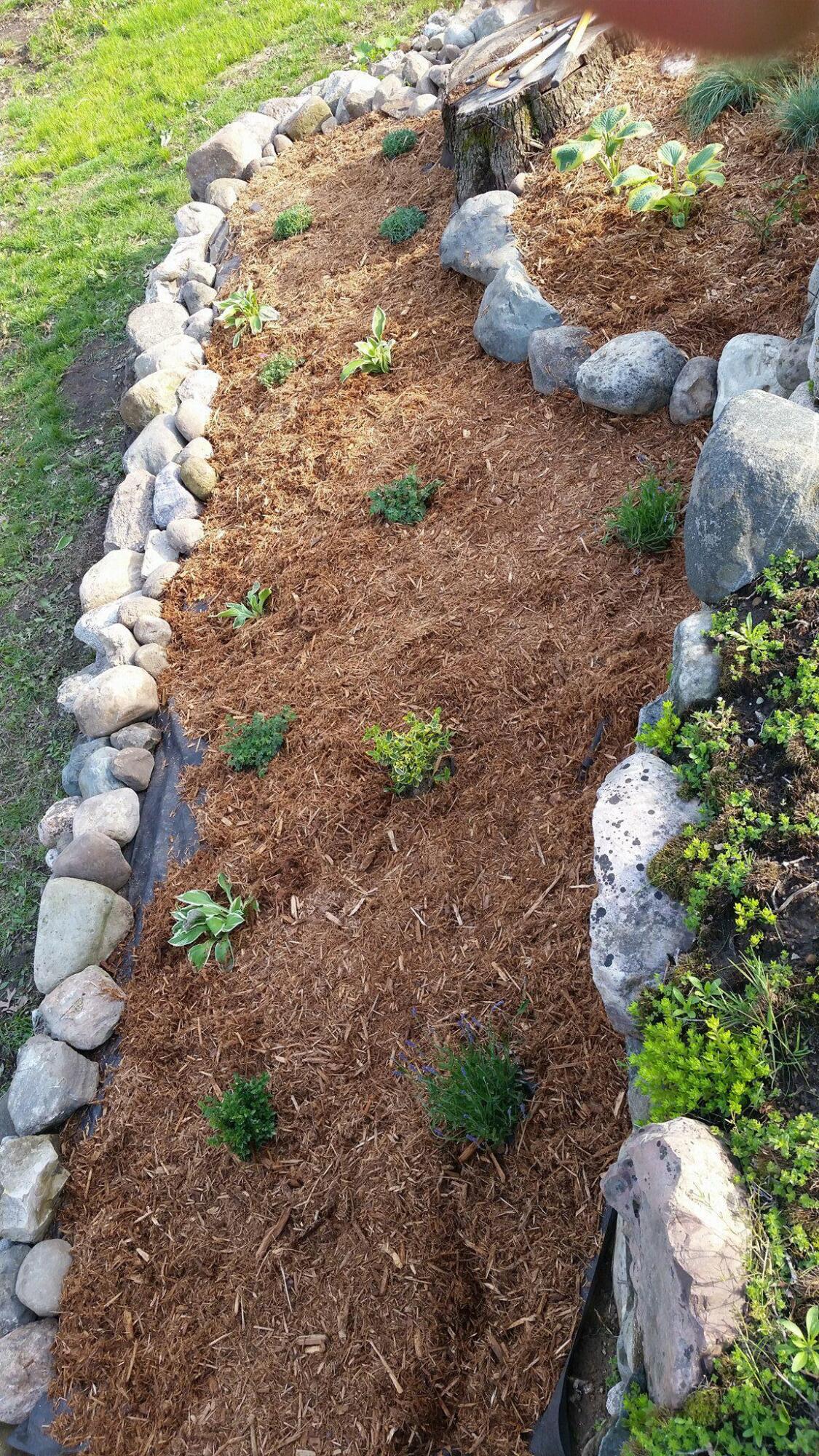 6127 Brooklyn Road Jackson, MI 49201 - Photo 67 of 79 33028723_1983831574963107_21916110224673