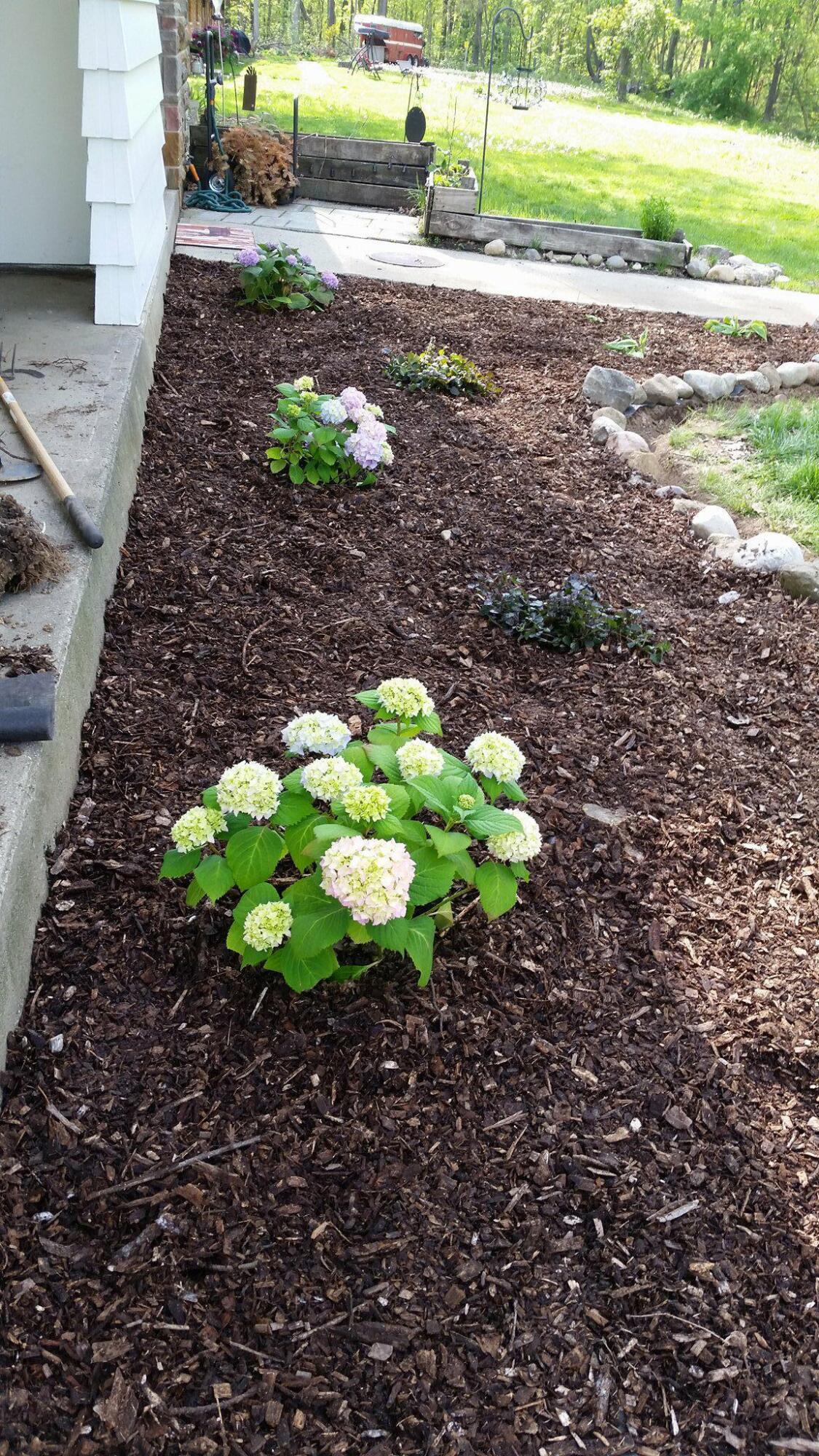 6127 Brooklyn Road Jackson, MI 49201 - Photo 68 of 79 33034504_1983831181629813_86744424715953