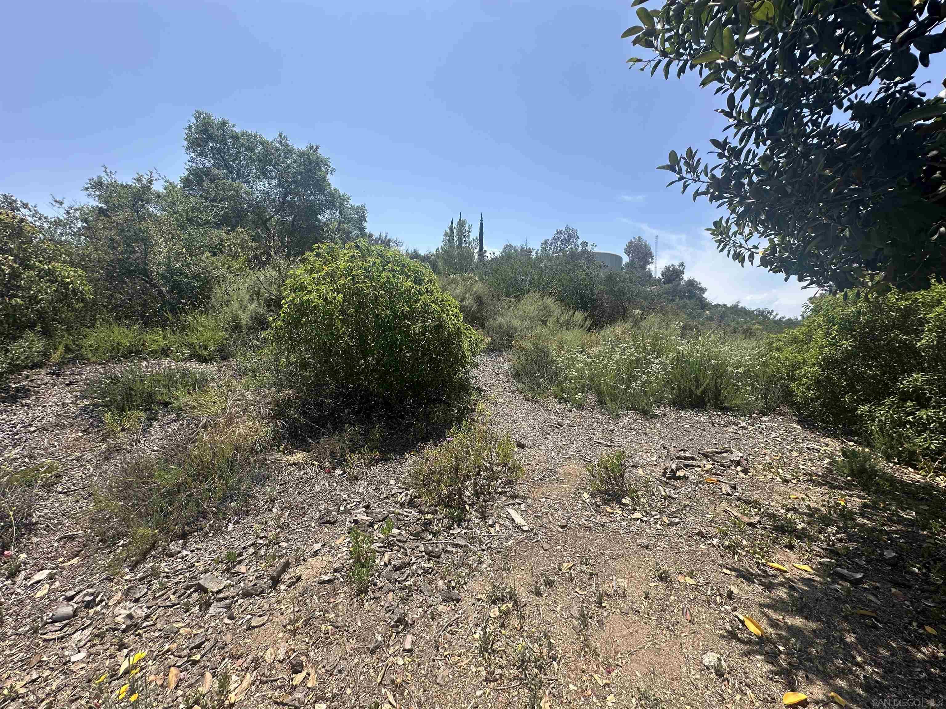 0 Sage Hill Way Escondido, CA 92026 - Photo 6 of 7 a view of a dry yard with trees