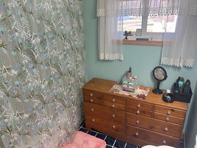 8844 East Hawley Road Hesperia, MI 49421 - Photo 30 of 65 thumbnail_IMG_6247
