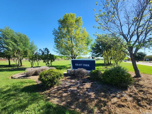 a view of a park that has large trees