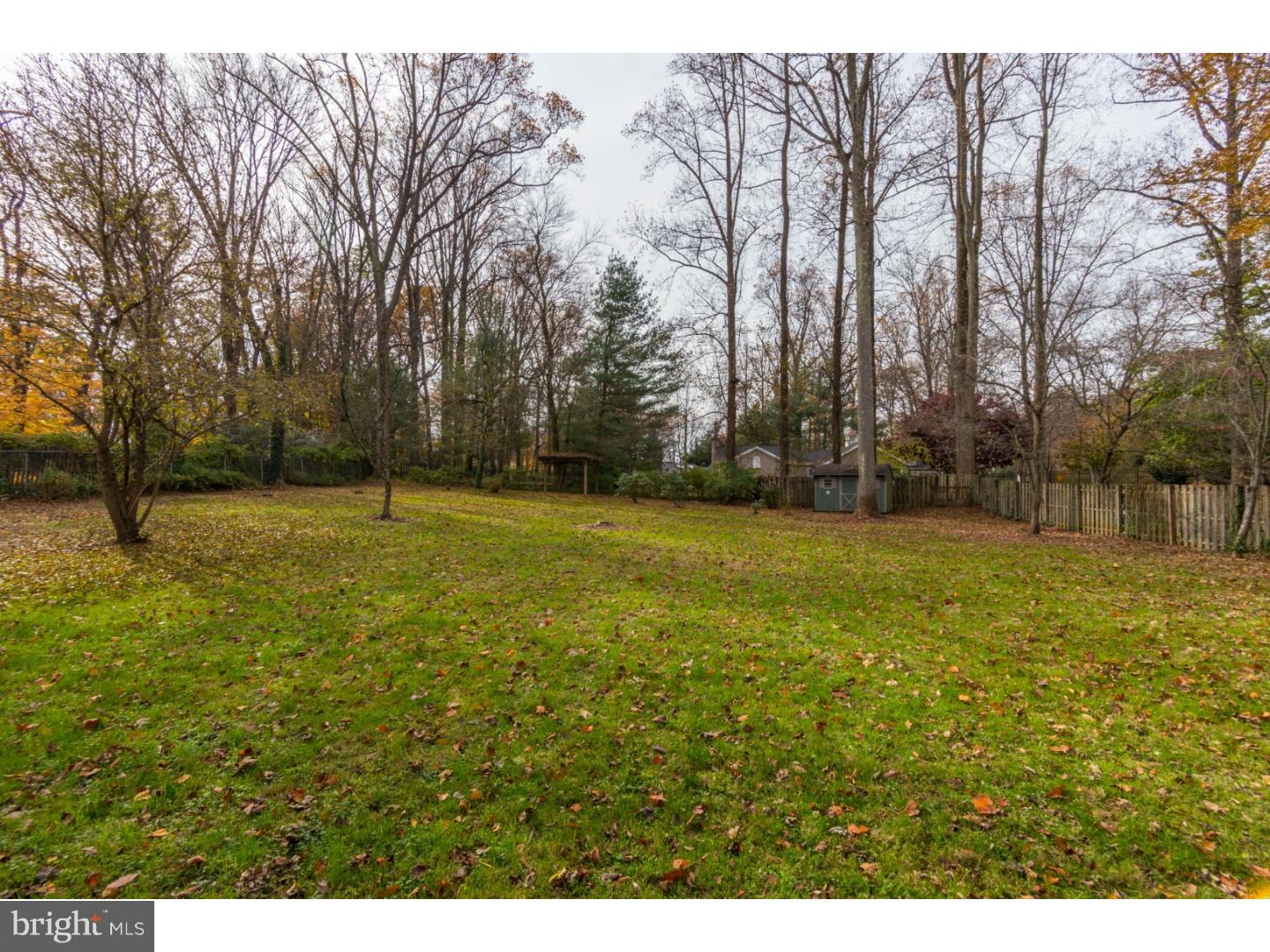 810 Sproul Road Bryn Mawr, PA 19010 - Photo 25 of 25 Back Yard