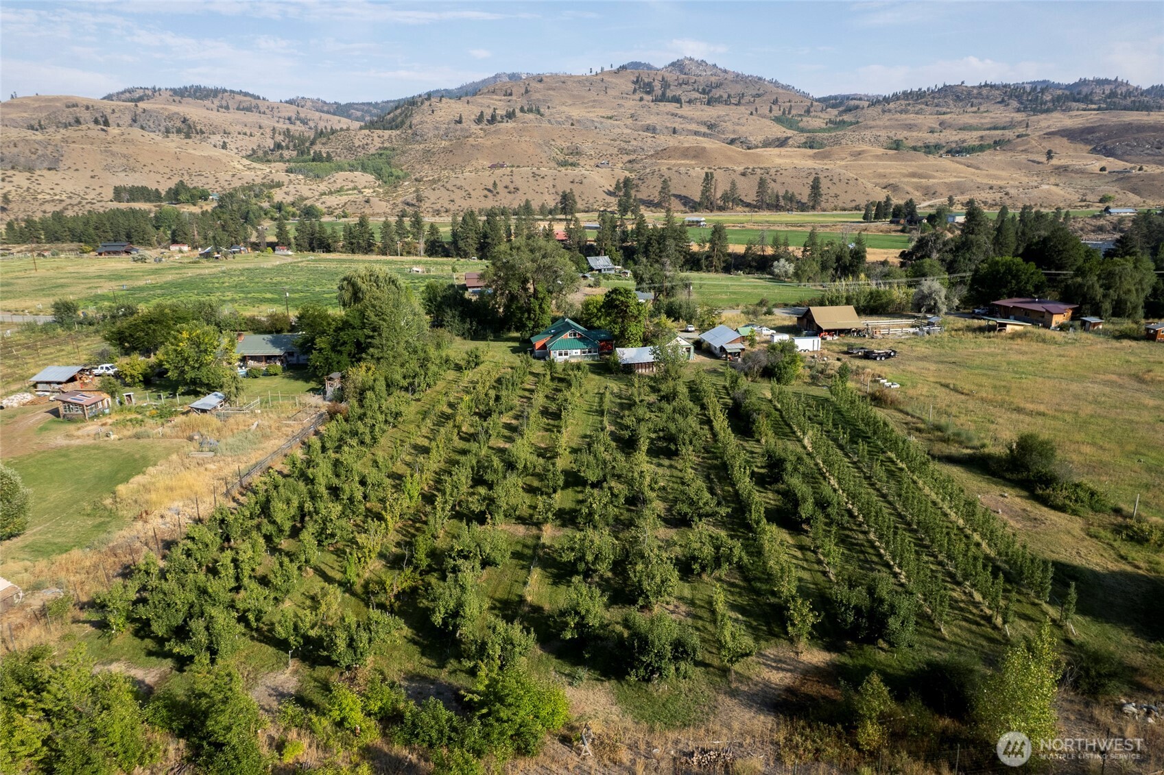 391 Twisp Carlton Road Carlton, WA 98814 - Photo 4 of 39 Gallery Image 4