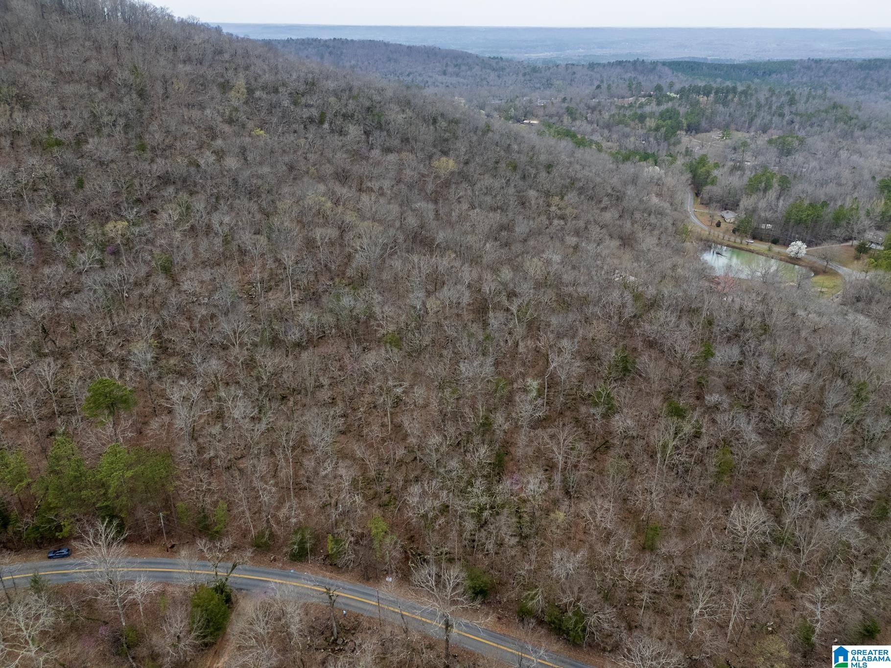0 Valley Trail, Unit 496 Warrior, AL 35180 - Photo 19 of 31