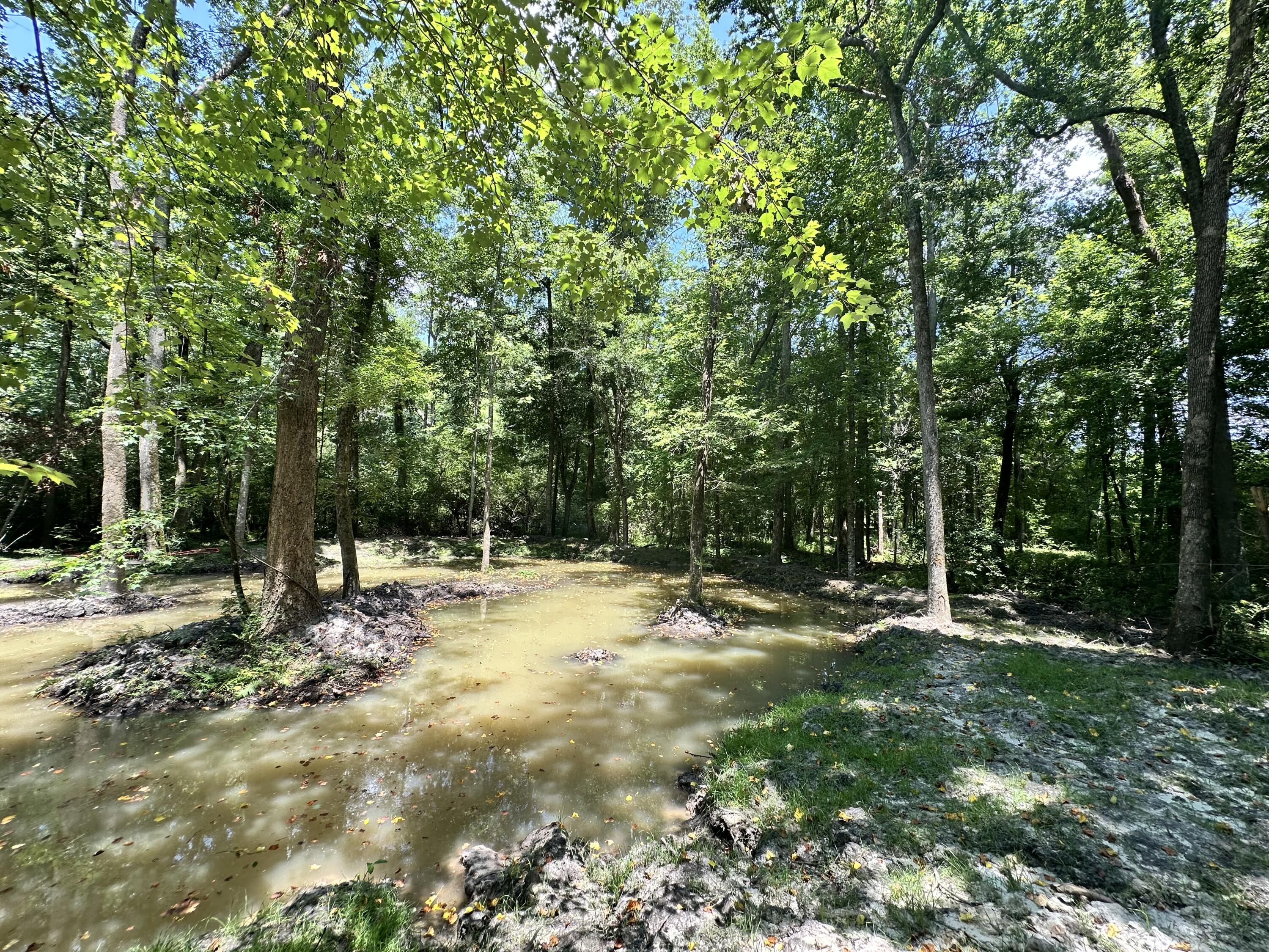 110 Poplar Grove Road Cope, SC 29038 - Photo 34 of 37