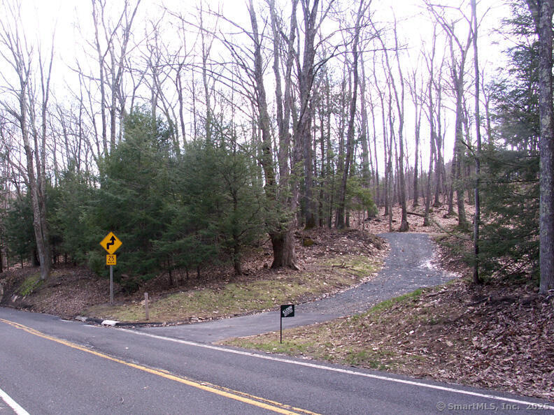 307 North Street Roxbury, CT 06783 - Photo 2 of 6 a backyard of a house with lots of green space