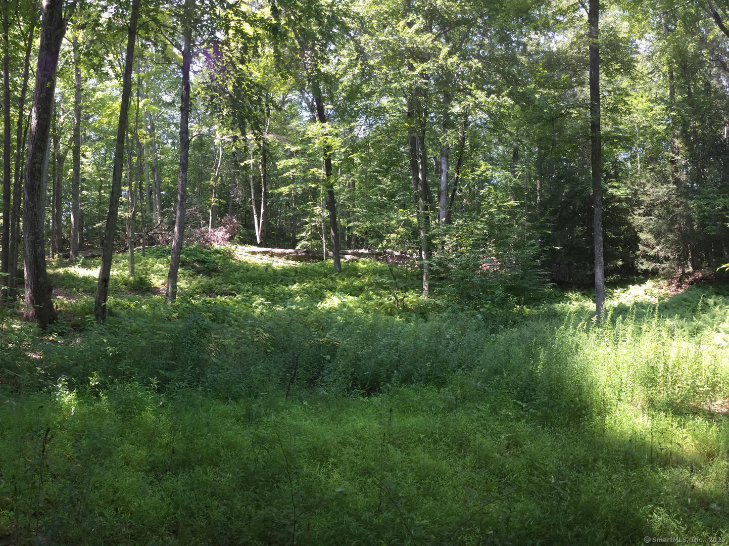 307 North Street Roxbury, CT 06783 - Photo 4 of 6 a view of a lake with a house in background