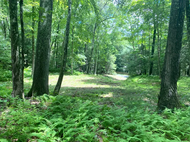 a view of outdoor space with a garden and trees