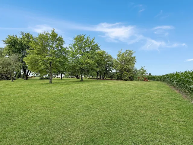 a view of backyard with green space