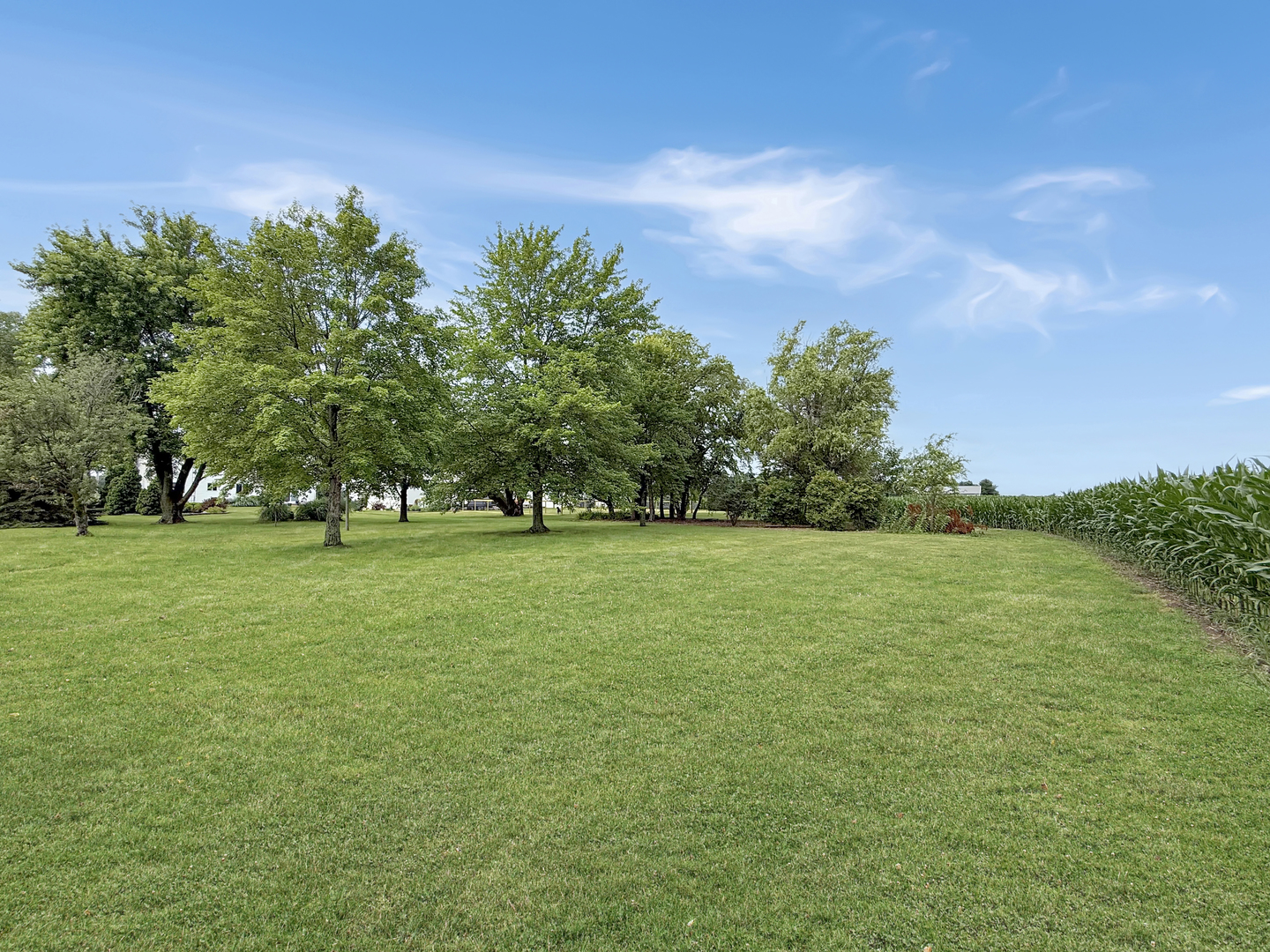 49W972 Peterson Road Maple Park, IL 60151 - Photo 26 of 38 a view of green field