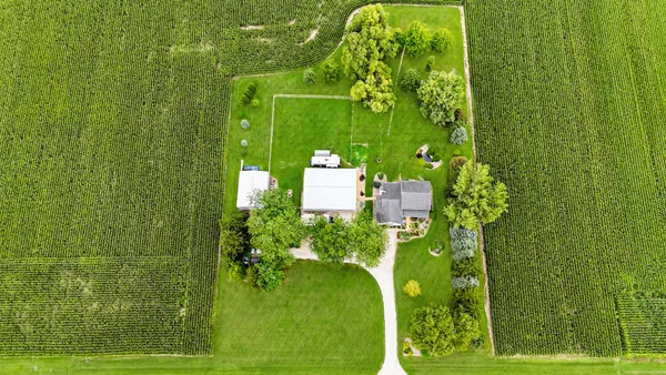 a green field with lots of tress