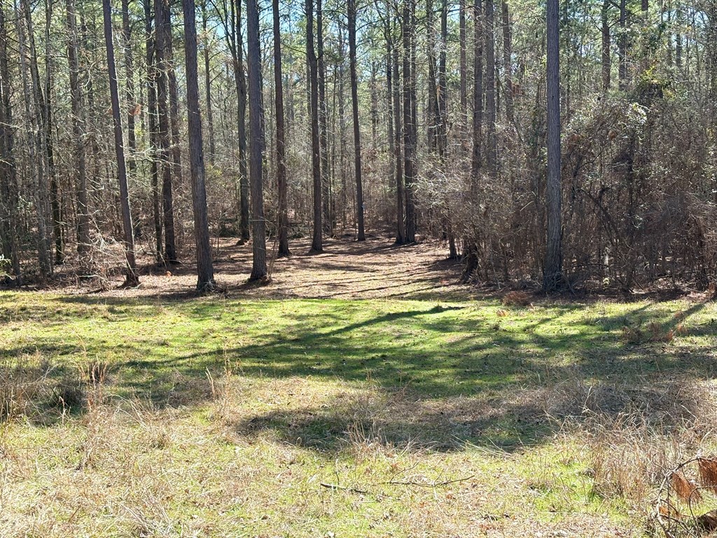 0 Upper Mill Road McCormick, SC 29835 - Photo 11 of 18 Gallery Image 11