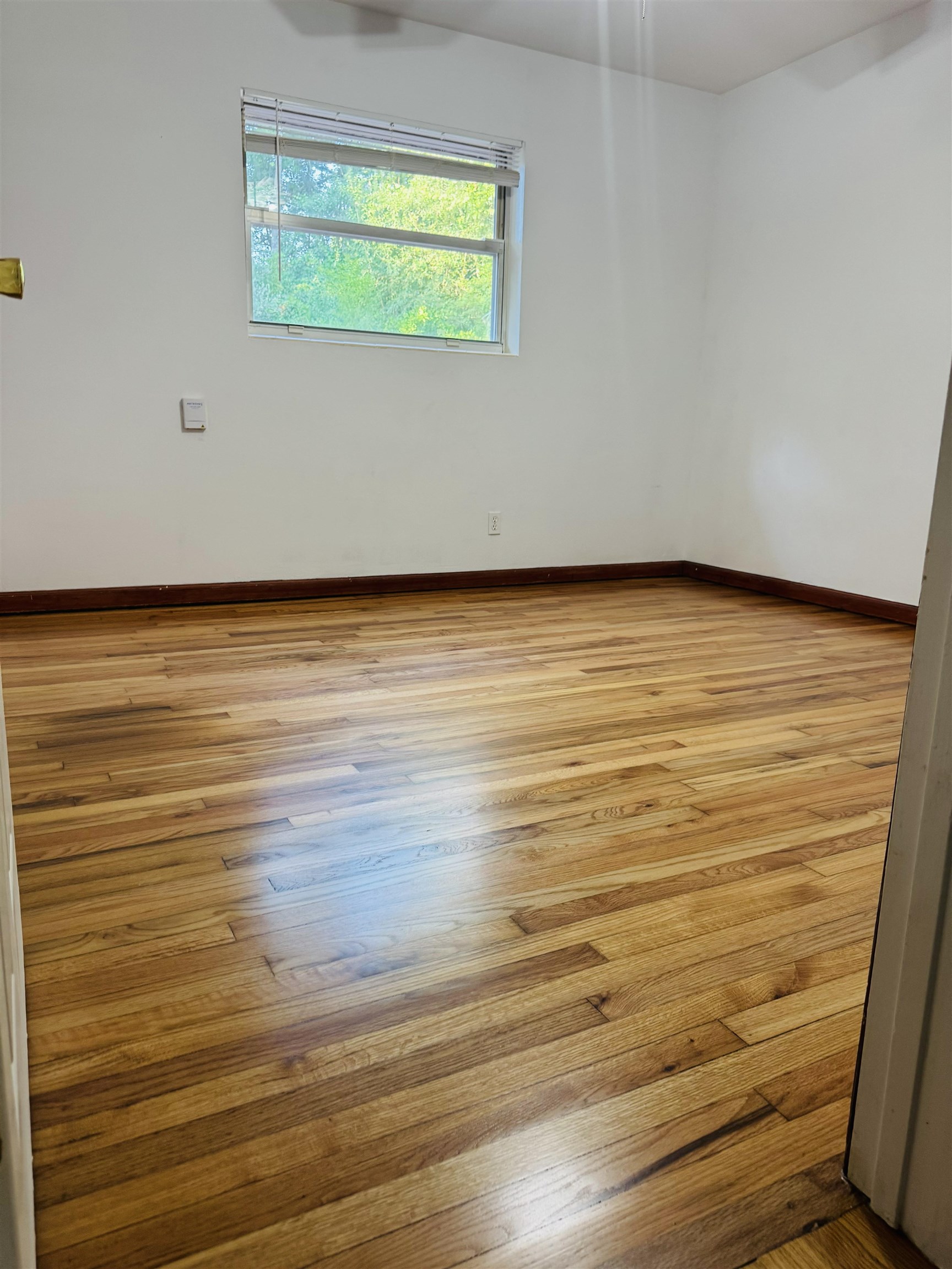 1527 Argonne Road Tallahassee, FL 32308 - Photo 7 of 35