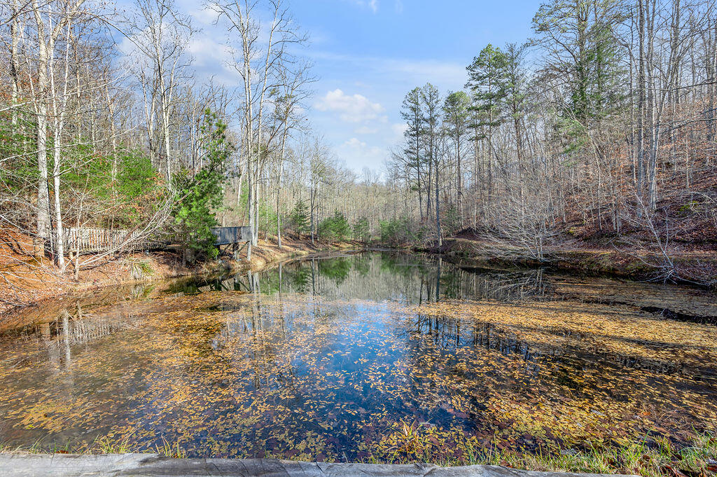 1635 Wiley Branch Road Martha, KY 41159 - Photo 79 of 83 TDB_7042