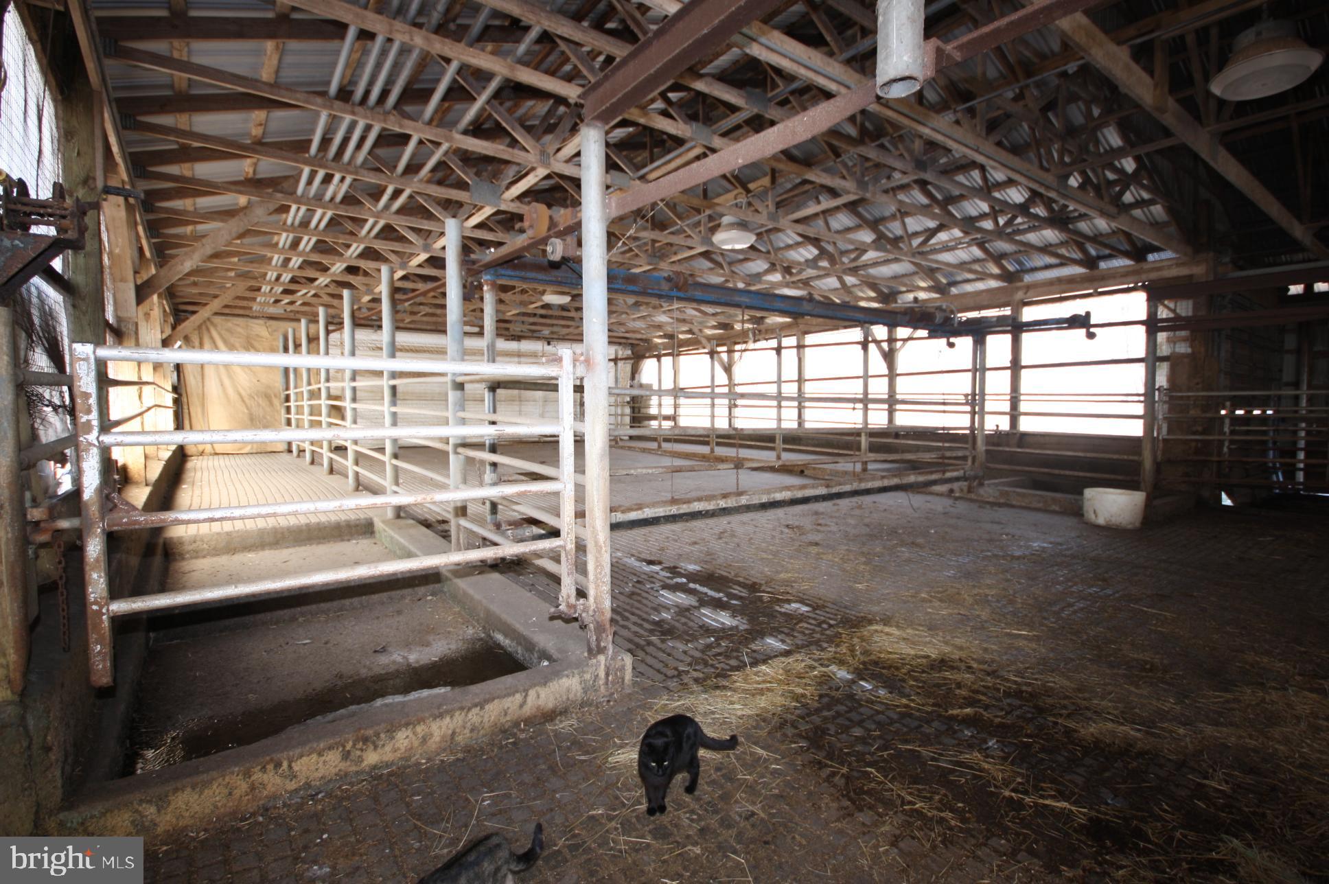 149 Devils Half Acre Road Grantsville, MD 21536 - Photo 20 of 44