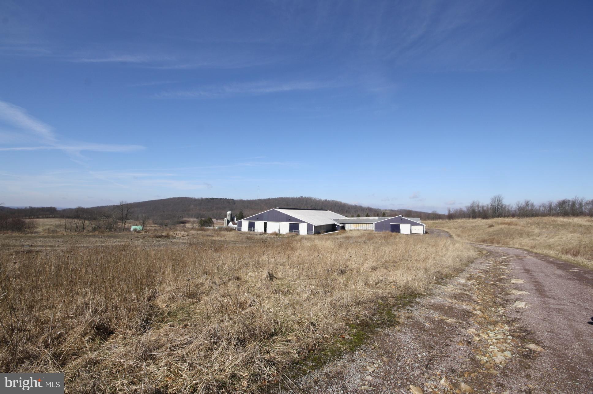 149 Devils Half Acre Road Grantsville, MD 21536 - Photo 2 of 44