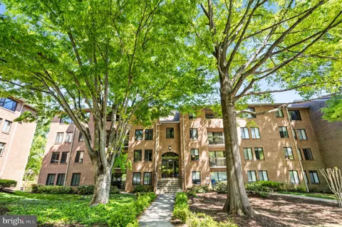 a view of a large building with a tree