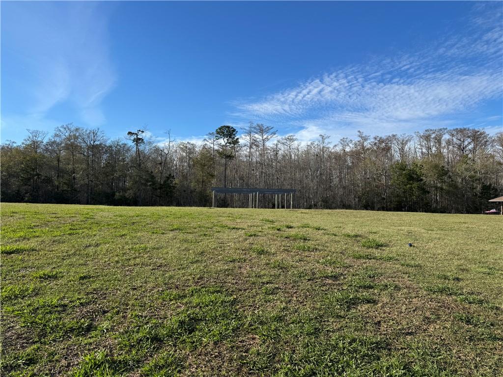 21455 Yellow Fin Drive Springfield, LA 70462 - Photo 12 of 12