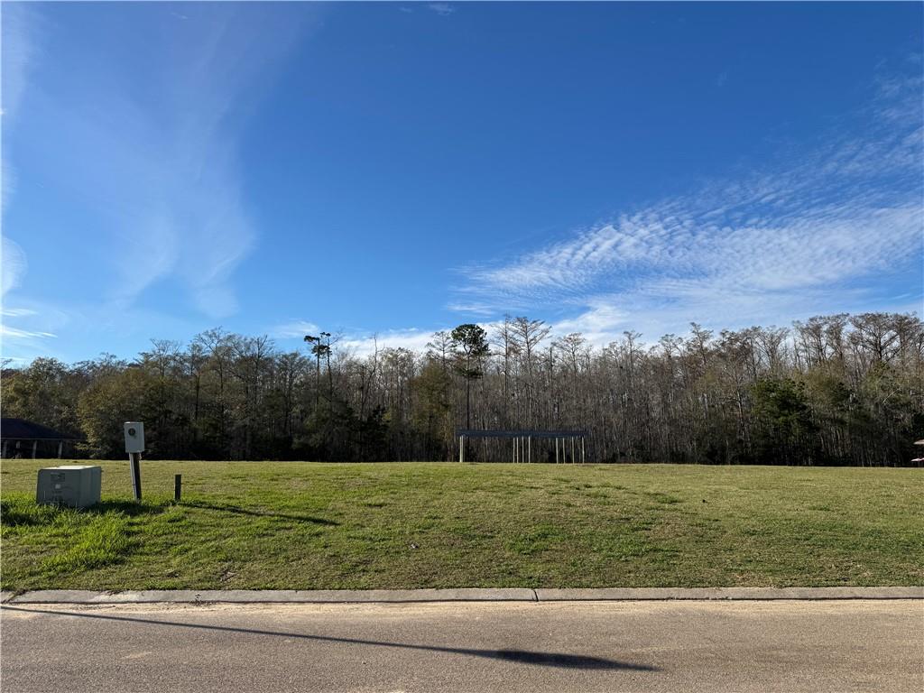 21455 Yellow Fin Drive Springfield, LA 70462 - Photo 3 of 12