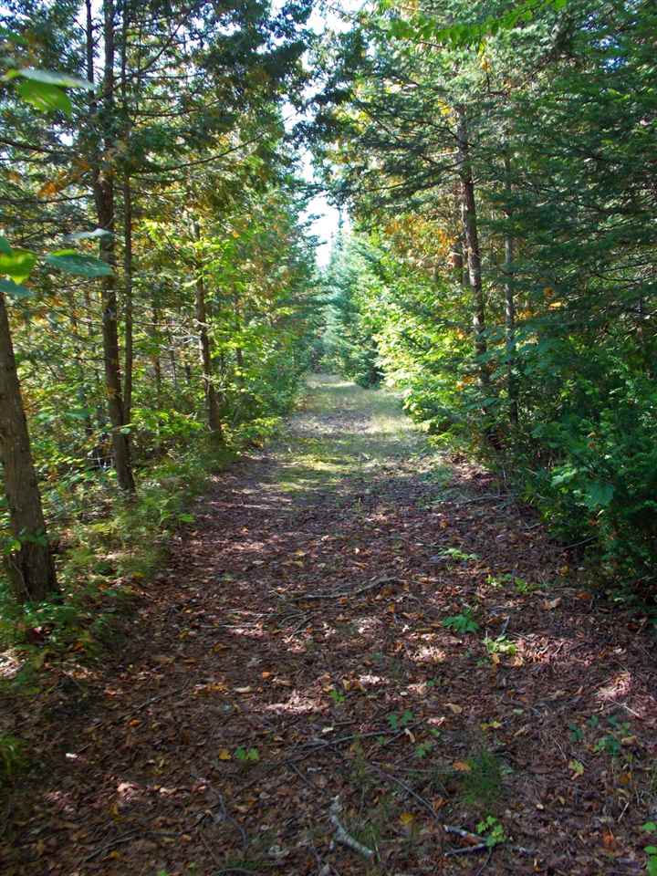 466 Center School Road Charleston, VT 05872 - Photo 8 of 40 Gallery Image 8