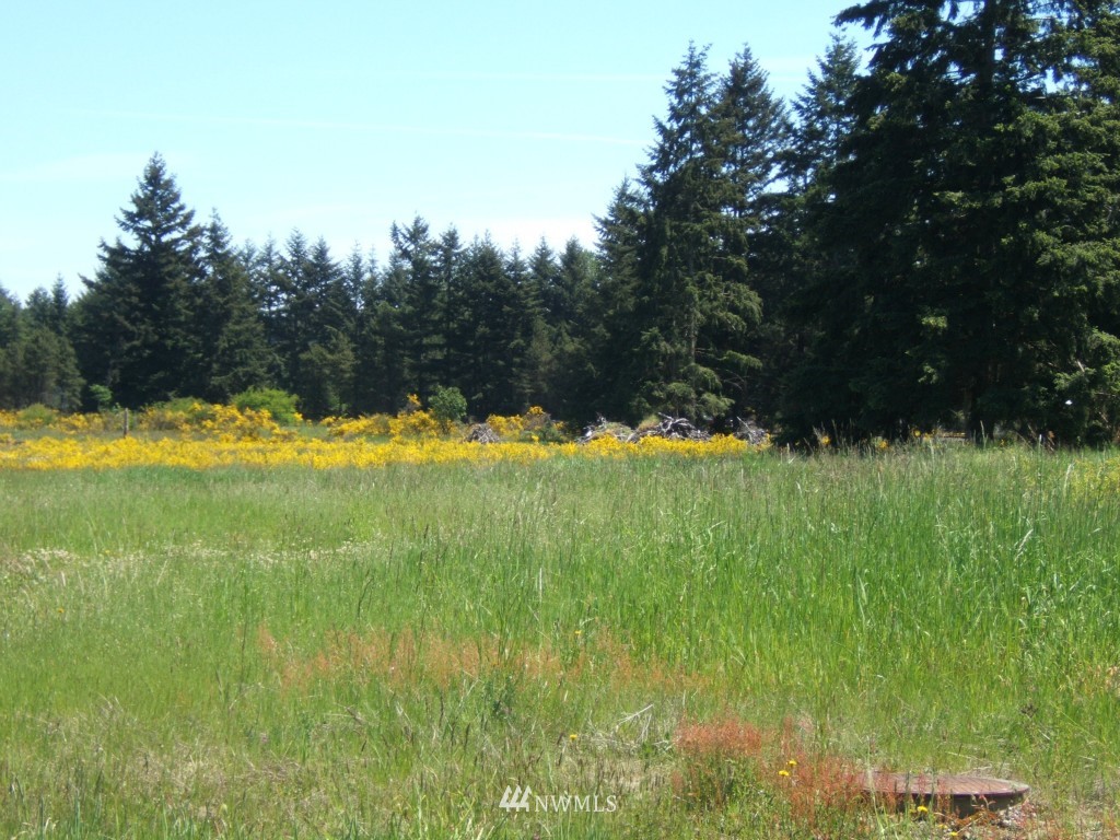 19246 Guava Street Southwest Rochester, WA 98579 - Photo 1 of 1