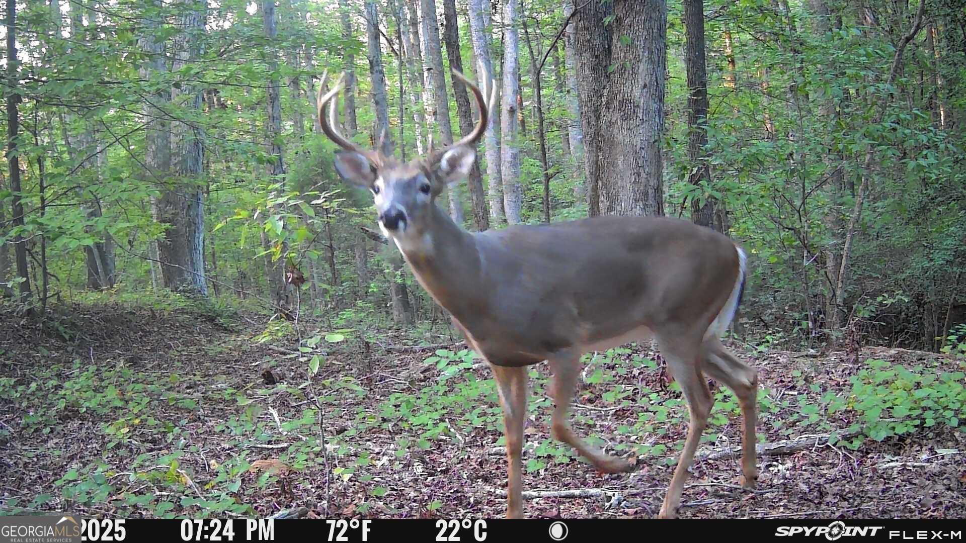 1590 James Adams Road Danielsville, GA 30633 - Photo 11 of 98