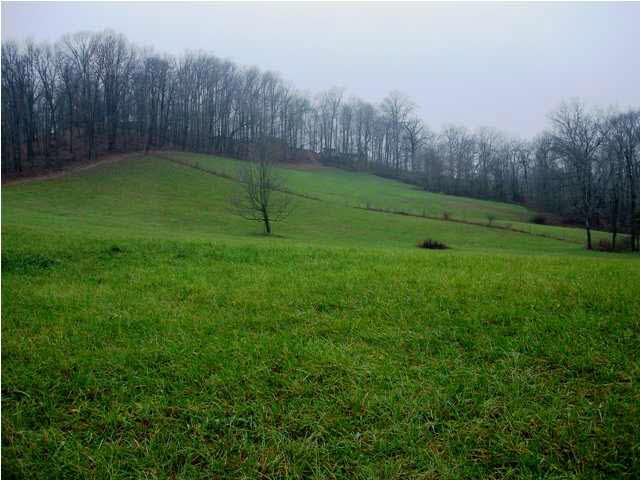 0 Brooks Bridge Road Loogootee, IN 47553 - Photo 1 of 1