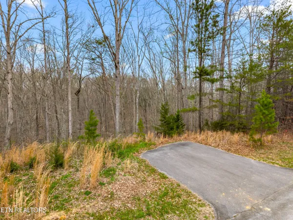 $39,900 | Lot 106 Turtle Dove Trail, Dandridge, TN 37725