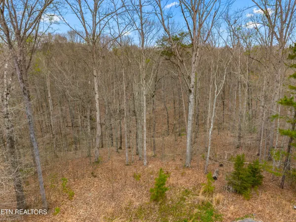 $39,900 | Lot 106 Turtle Dove Trail, Dandridge, TN 37725