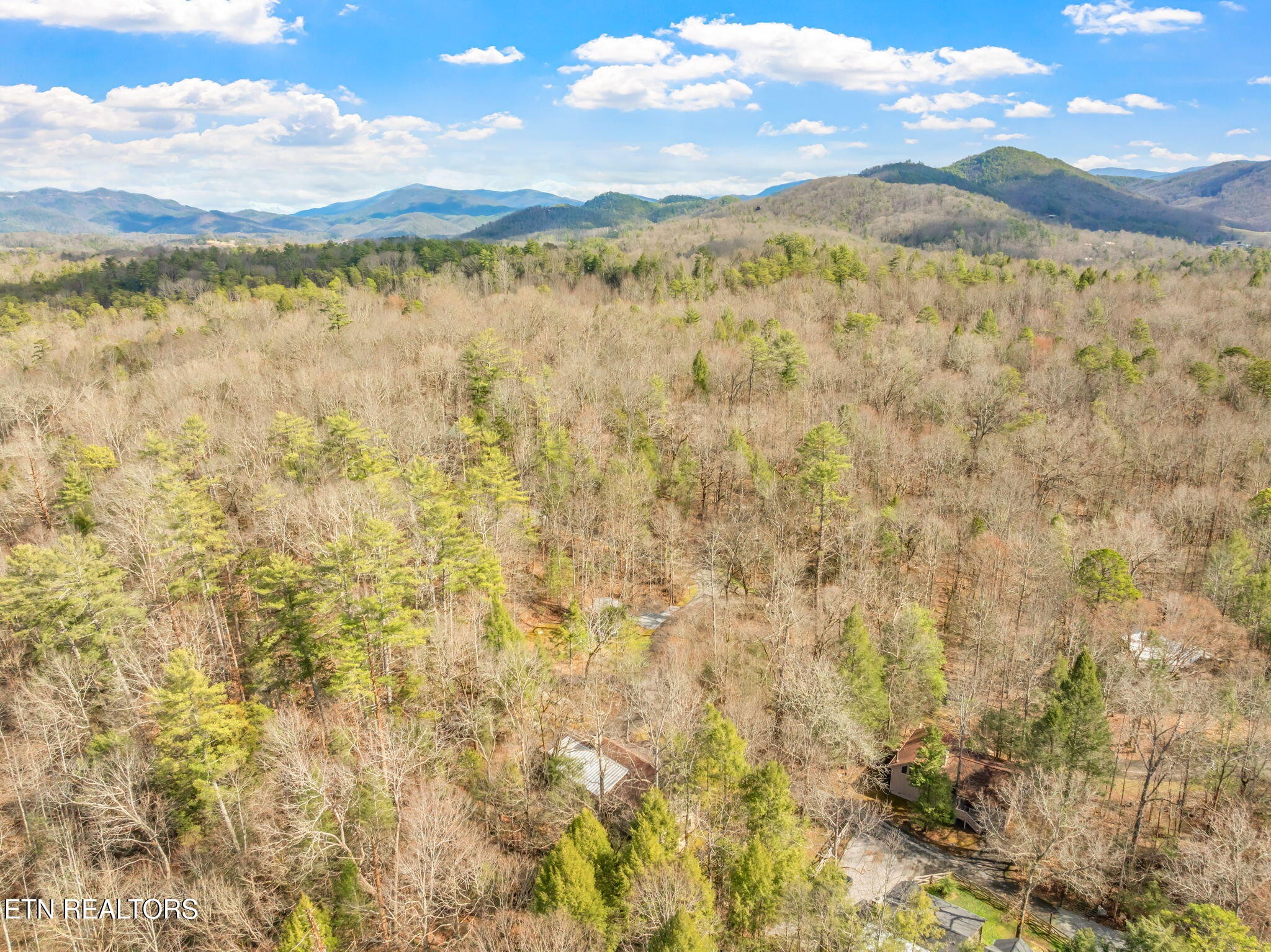 151 Sequoyah Village Road Townsend, TN 37882 - Photo 58 of 60