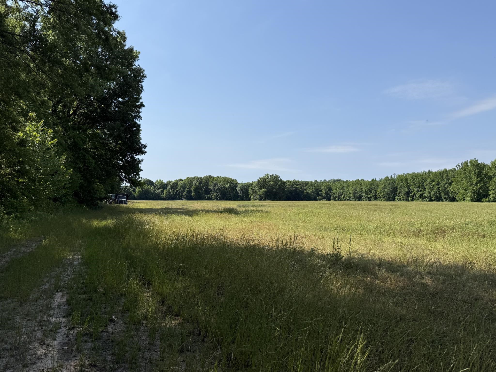 1 Carter Road Saltillo, TN 38370 - Photo 3 of 40 a view of lake with green space