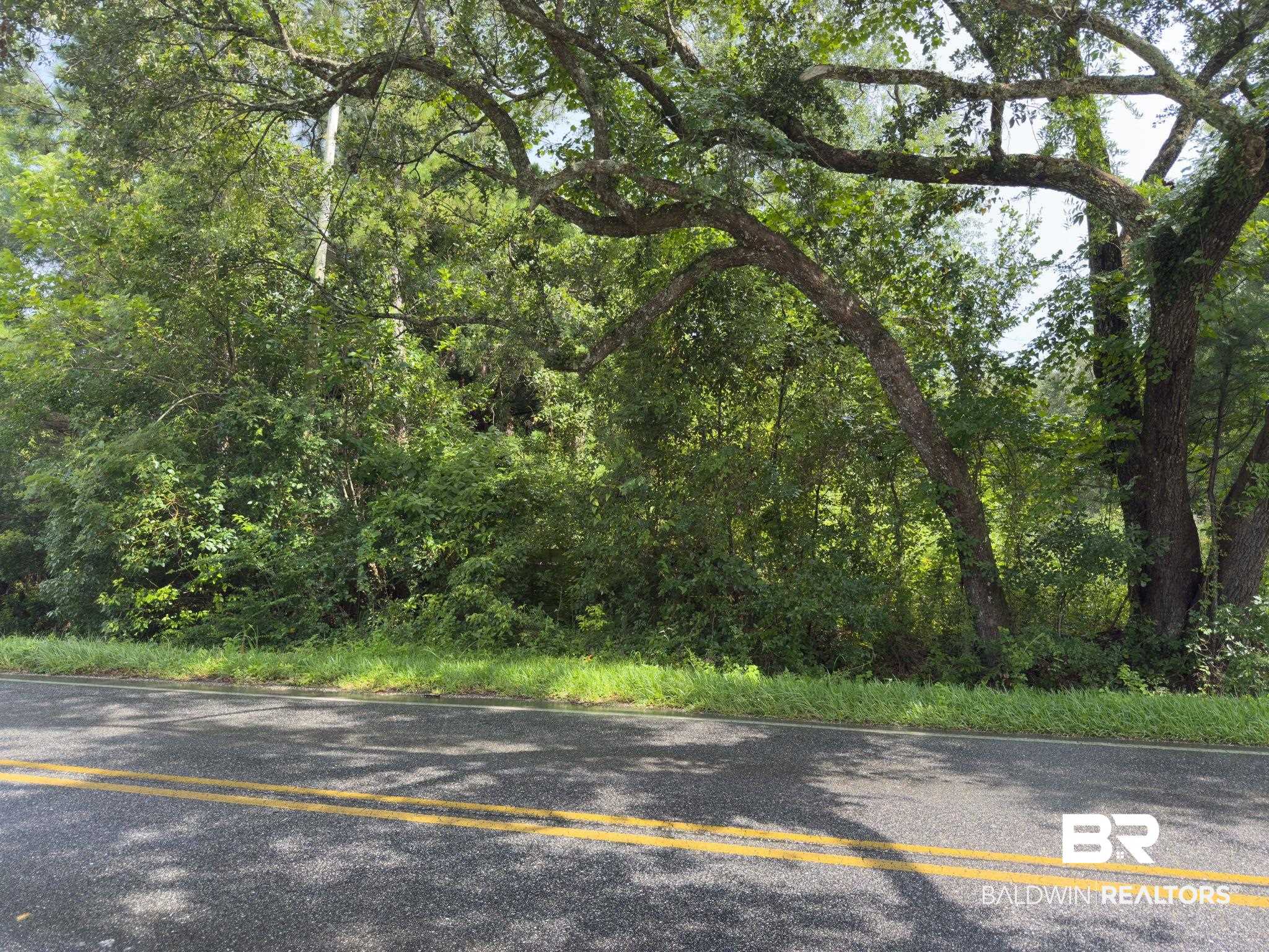 7360 Twin Beech Road Fairhope, AL 36532 - Photo 6 of 16 View of asphalt street with a forest view