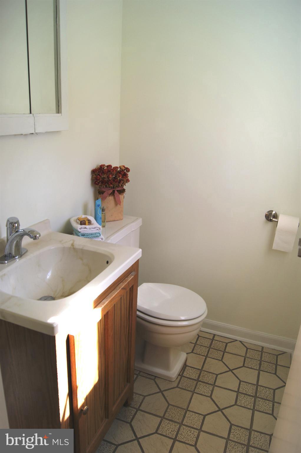 22 Sycamore Way Hamilton, NJ 08690 - Photo 6 of 44 Guest Bath on lower level