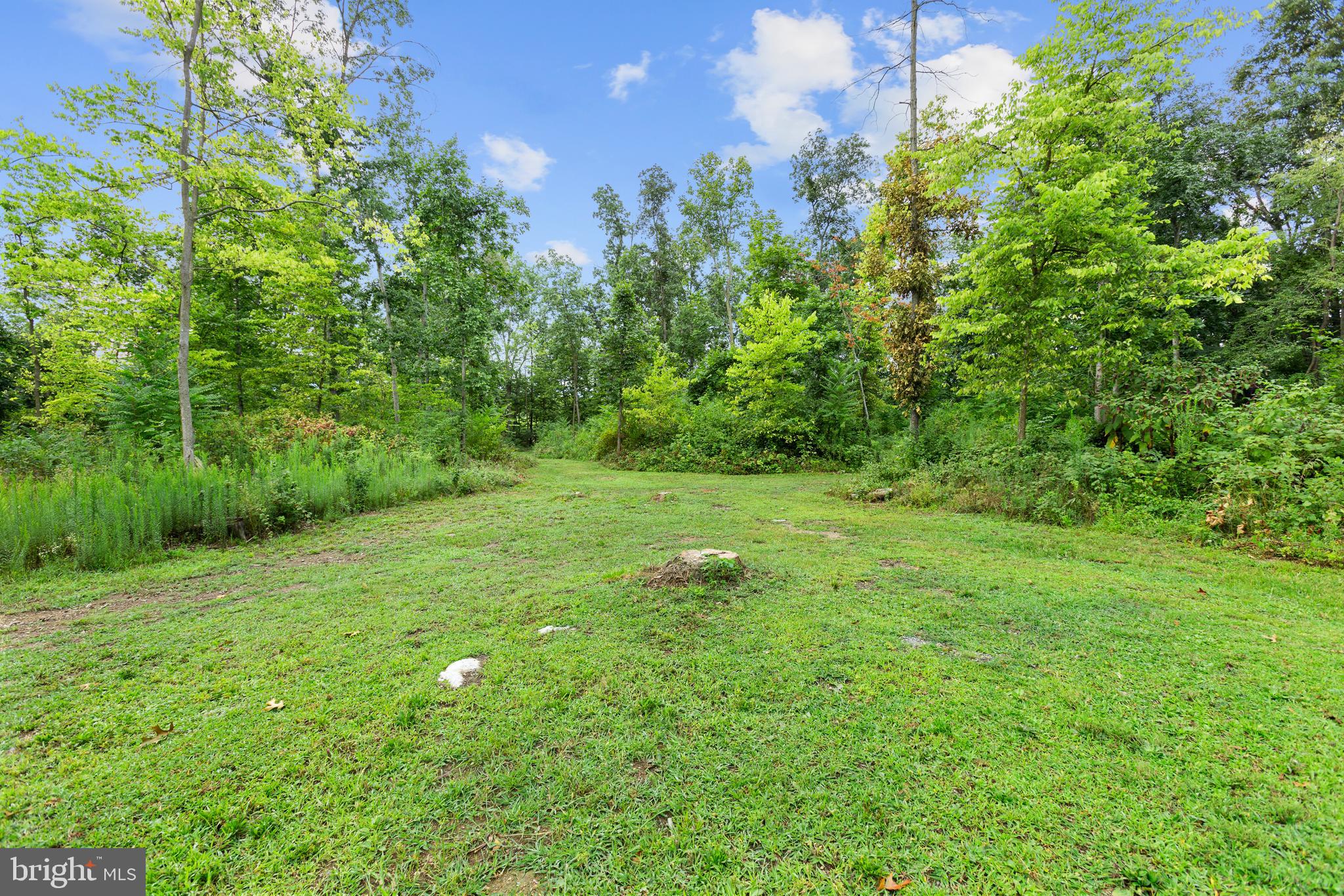 450 Walker Road Mount Jackson, VA 22842 - Photo 48 of 52