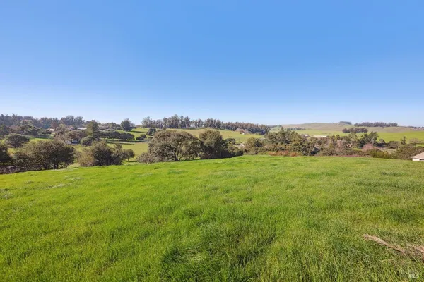a view of a field with an ocean