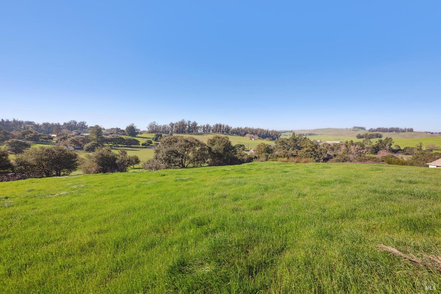 a view of a field with an ocean