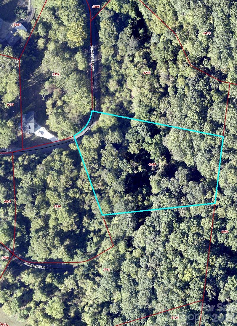 76 View Ridge Parkway, Unit 7 Leicester, NC 28748 - Photo 3 of 10