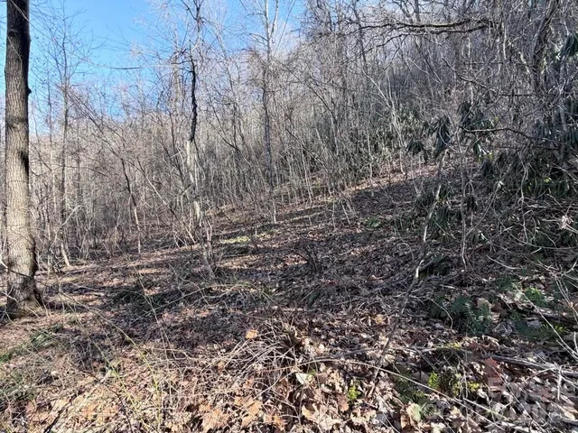 $52,000 | 76 View Ridge Parkway, Unit 7, Leicester, NC 28748