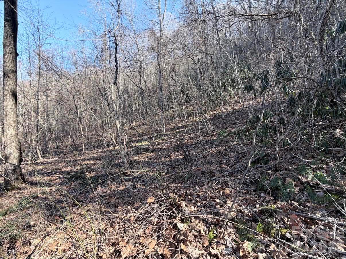 76 View Ridge Parkway, Unit 7 Leicester, NC 28748 - Photo 4 of 10