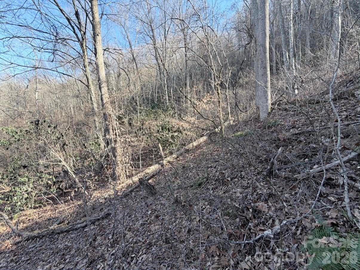 76 View Ridge Parkway, Unit 7 Leicester, NC 28748 - Photo 5 of 10