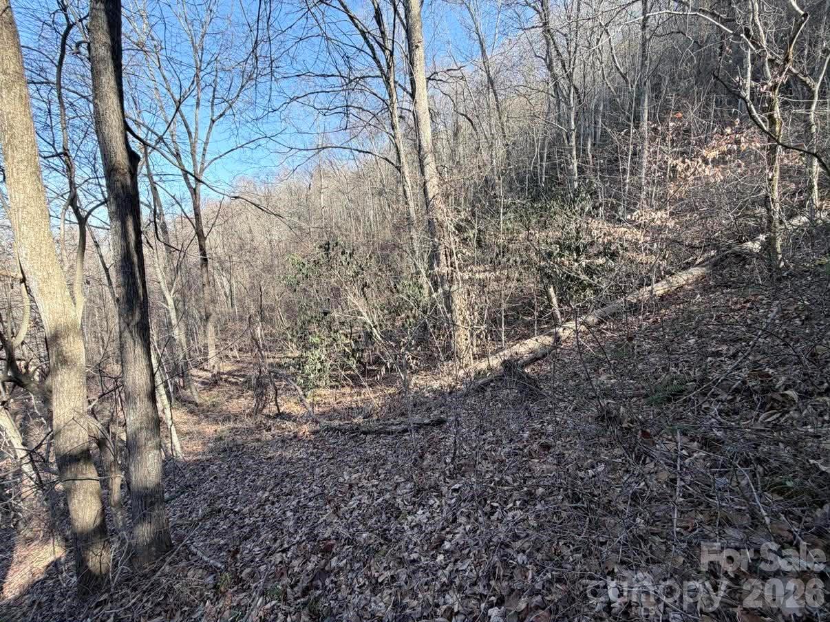 76 View Ridge Parkway, Unit 7 Leicester, NC 28748 - Photo 6 of 10