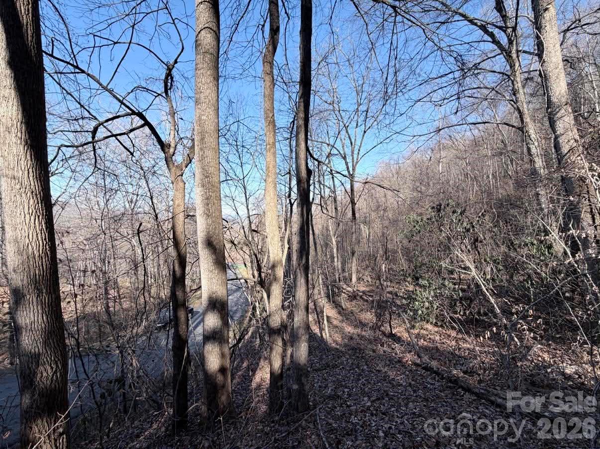 76 View Ridge Parkway, Unit 7 Leicester, NC 28748 - Photo 7 of 10